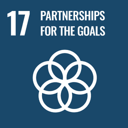 SDG 17 — Partnerships