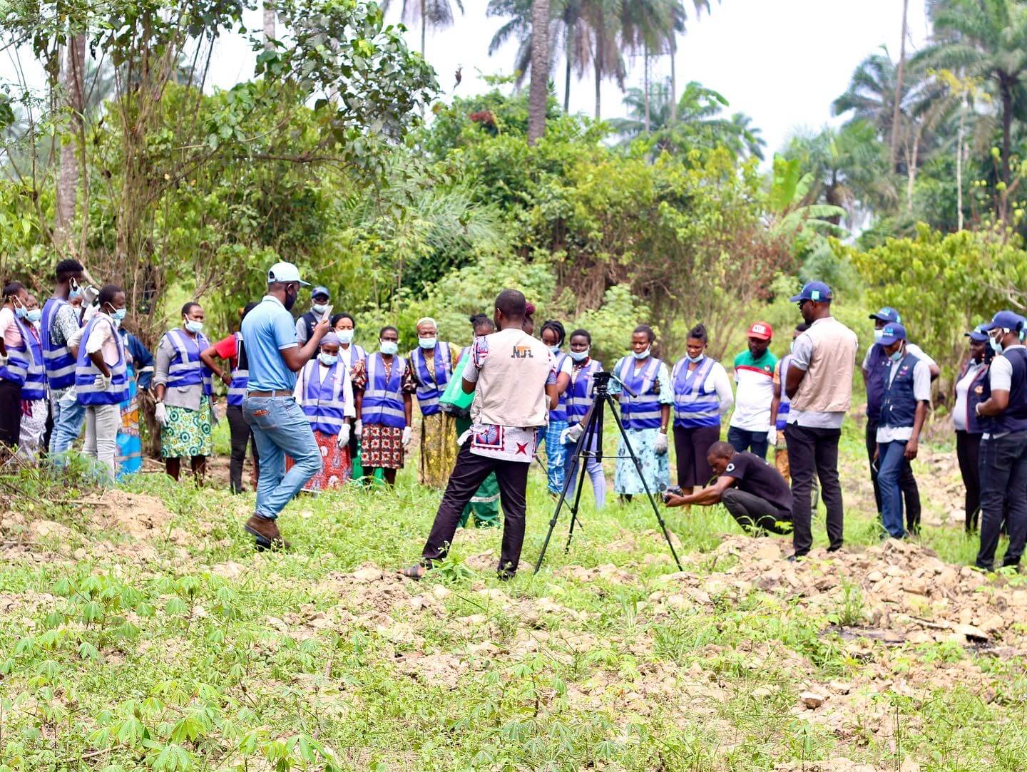 Farming and livelihoods